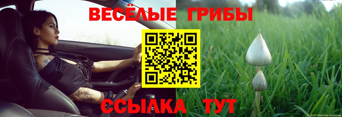 Галлюциногенные грибы Psilocybine cubensis  Вход с VPN  Рыбинск  Галлюциногенные грибы мицелий 